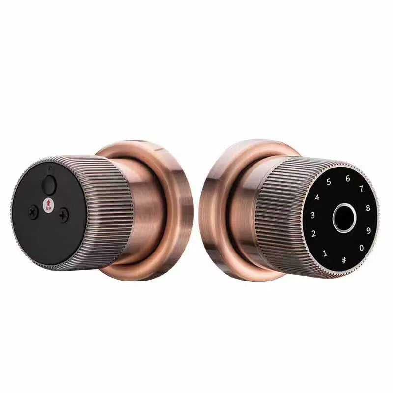 Smart Door Keyless Smart Door Knob Lock - Fingerprint & TTLock App