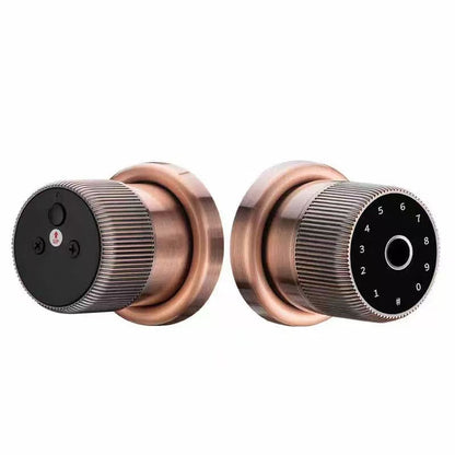 Smart Door Keyless Smart Door Knob Lock - Fingerprint & TTLock App